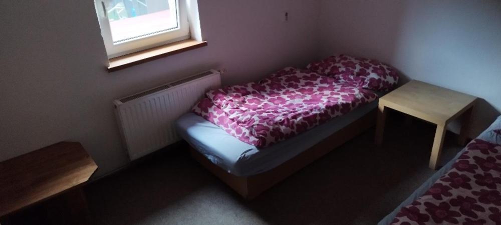 U Anny Lägenhet Háj ve Slezsku Exteriör bild
